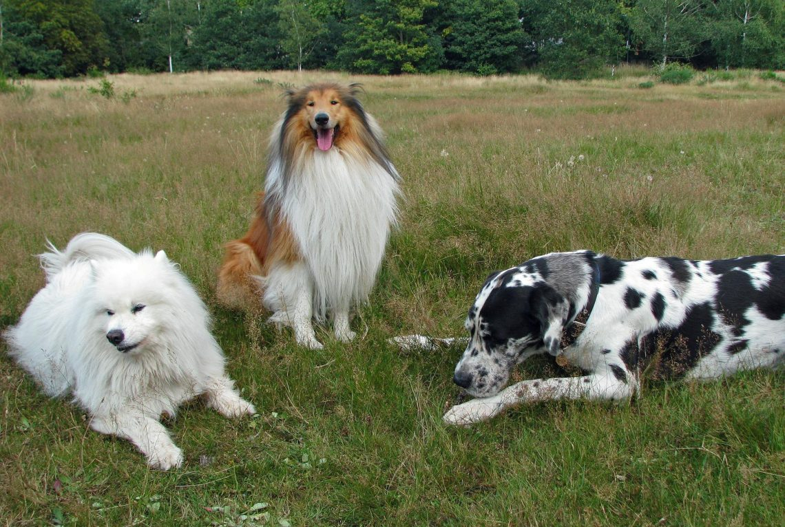 Gruppenstunden